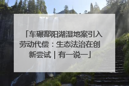 车碾鄱阳湖湿地案引入劳动代偿：生态法治在创新尝试｜有一说一