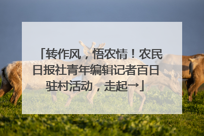 转作风，悟农情！农民日报社青年编辑记者百日驻村活动，走起→