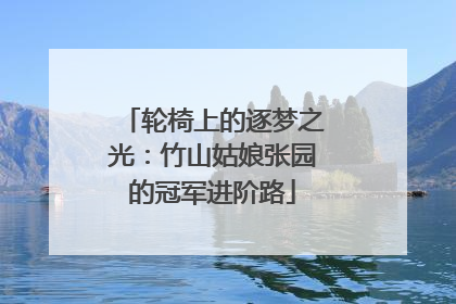 轮椅上的逐梦之光：竹山姑娘张园的冠军进阶路