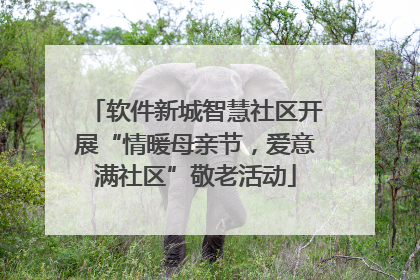 软件新城智慧社区开展“情暖母亲节，爱意满社区”敬老活动