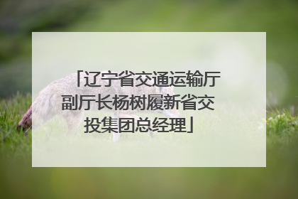 辽宁省交通运输厅副厅长杨树履新省交投集团总经理