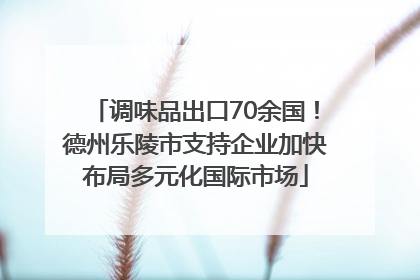调味品出口70余国！德州乐陵市支持企业加快布局多元化国际市场