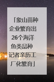 象山苗种企业繁育出26个海洋鱼类品种 记者亲历工厂化繁育