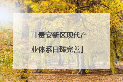 贵安新区现代产业体系日臻完善