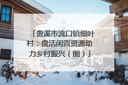 贵溪市流口镇细叶村：盘活闲置资源助力乡村振兴（图）
