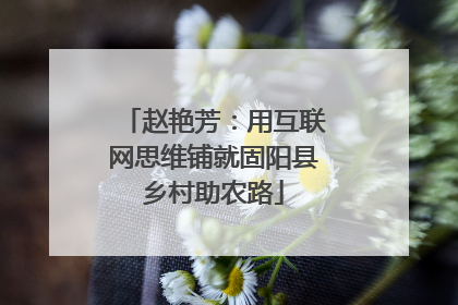 赵艳芳：用互联网思维铺就固阳县乡村助农路