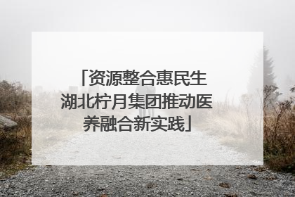 资源整合惠民生 湖北柠月集团推动医养融合新实践