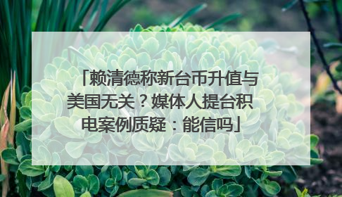赖清德称新台币升值与美国无关？媒体人提台积电案例质疑：能信吗