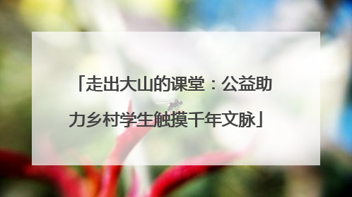 走出大山的课堂：公益助力乡村学生触摸千年文脉