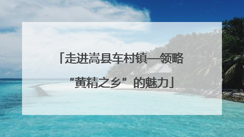 走进嵩县车村镇—领略“黄精之乡”的魅力