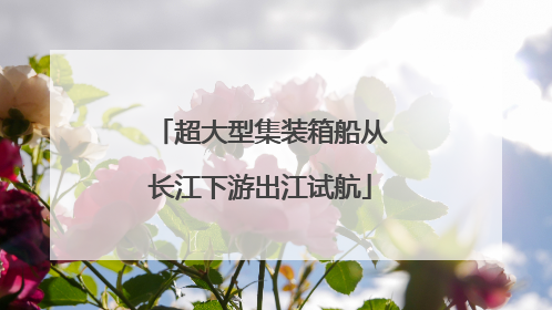 超大型集装箱船从长江下游出江试航