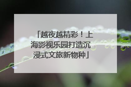 越夜越精彩！上海影视乐园打造沉浸式文旅新物种
