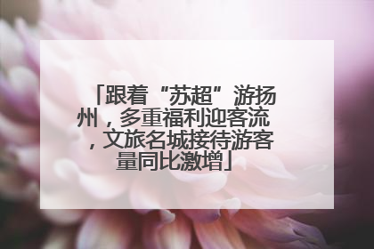 跟着“苏超”游扬州，多重福利迎客流，文旅名城接待游客量同比激增