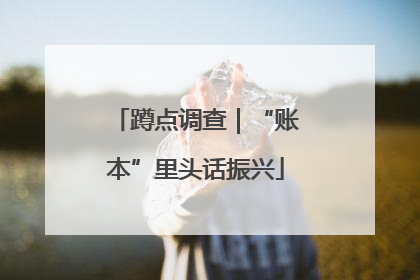蹲点调查｜“账本”里头话振兴