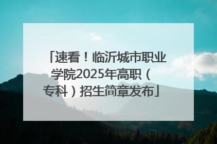 速看！临沂城市职业学院2025年高职（专科）招生简章发布