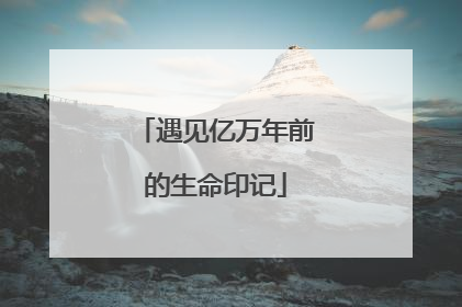 遇见亿万年前的生命印记