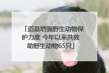 道县增强野生动物保护力度 今年以来共救助野生动物65只
