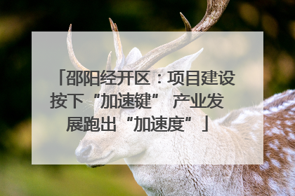 邵阳经开区：项目建设按下“加速键” 产业发展跑出“加速度”
