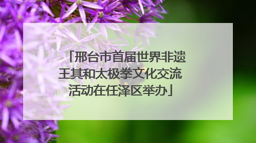 邢台市首届世界非遗王其和太极拳文化交流活动在任泽区举办