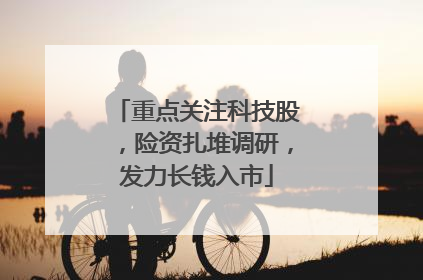 重点关注科技股，险资扎堆调研，发力长钱入市