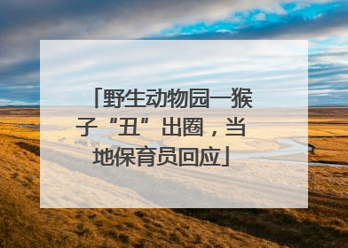 野生动物园一猴子“丑”出圈，当地保育员回应