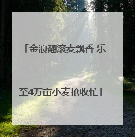 金浪翻滚麦飘香 乐至4万亩小麦抢收忙