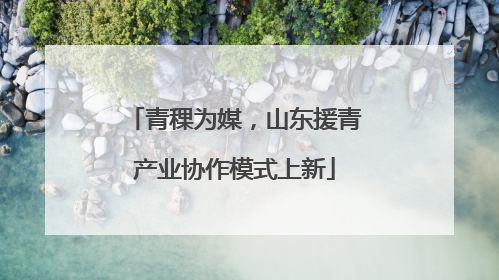 青稞为媒，山东援青产业协作模式上新