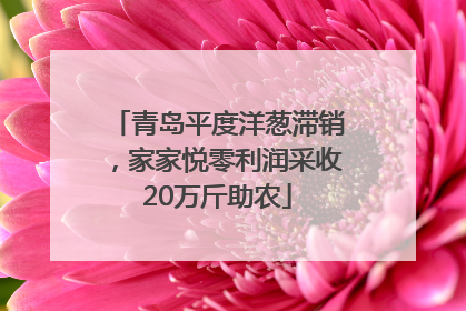 青岛平度洋葱滞销，家家悦零利润采收20万斤助农