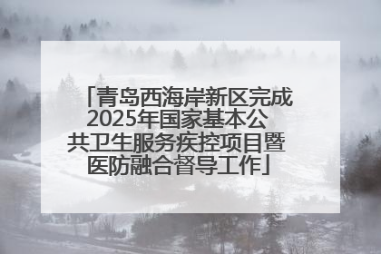 青岛西海岸新区完成2025年国家基本公共卫生服务疾控项目暨医防融合督导工作