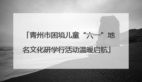 青州市困境儿童“六一”地名文化研学行活动温暖启航