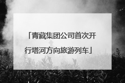 青藏集团公司首次开行塔河方向旅游列车