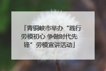 青铜峡市举办“践行劳模初心 争做时代先锋”劳模宣讲活动