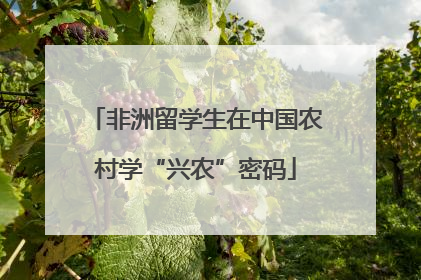 非洲留学生在中国农村学“兴农”密码