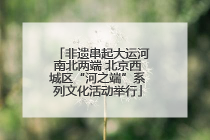 非遗串起大运河南北两端 北京西城区“河之端”系列文化活动举行