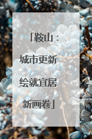 鞍山：城市更新绘就宜居新画卷