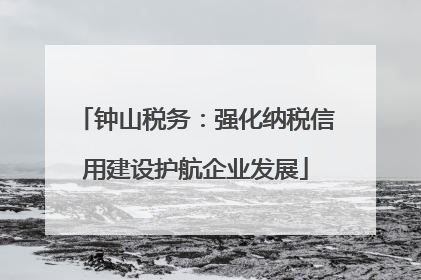 钟山税务：强化纳税信用建设护航企业发展