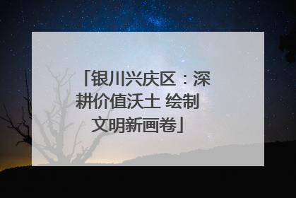 银川兴庆区：深耕价值沃土 绘制文明新画卷