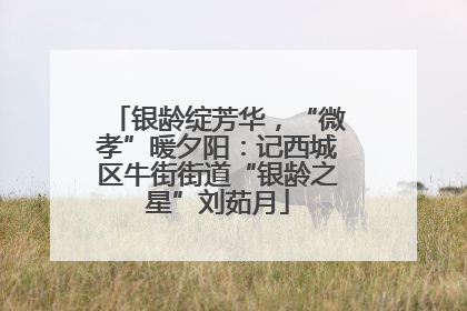 银龄绽芳华，“微孝”暖夕阳：记西城区牛街街道“银龄之星”刘茹月