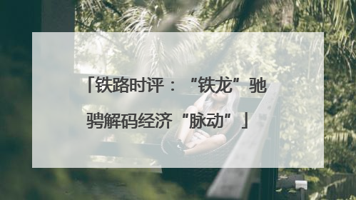 铁路时评：“铁龙”驰骋解码经济“脉动”
