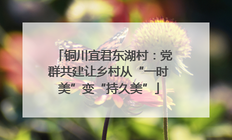 铜川宜君东湖村：党群共建让乡村从“一时美”变“持久美”