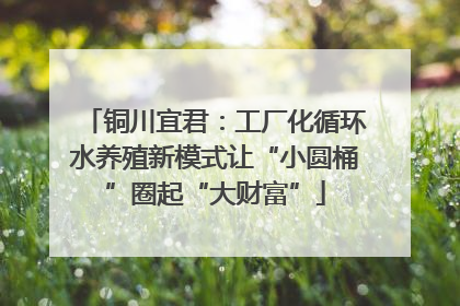 铜川宜君：工厂化循环水养殖新模式让“小圆桶”圈起“大财富”