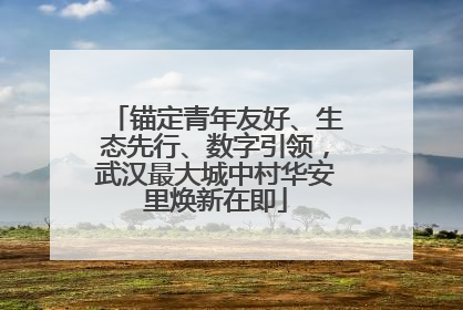 锚定青年友好、生态先行、数字引领，武汉最大城中村华安里焕新在即