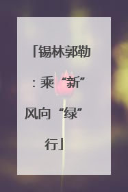 锡林郭勒：乘“新”风向“绿”行