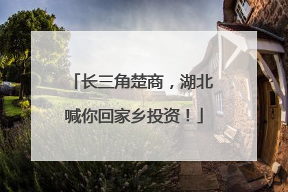 长三角楚商，湖北喊你回家乡投资！