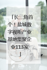 长三角首个！盐城数字视听产业基地集聚企业113家