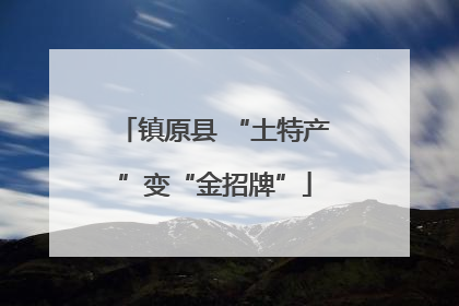 镇原县 “土特产”变“金招牌”