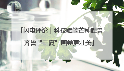 闪电评论｜科技赋能芒种胜景 齐鲁“三夏”画卷更壮美