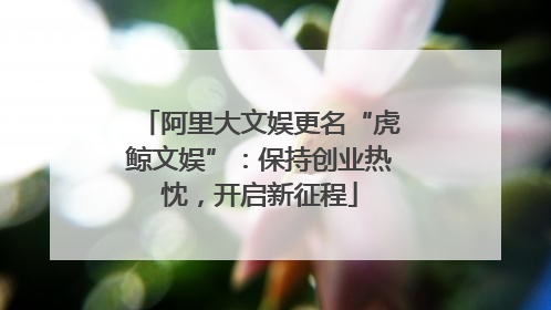 阿里大文娱更名“虎鲸文娱”：保持创业热忱，开启新征程