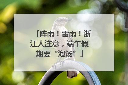 阵雨！雷雨！浙江人注意，端午假期要“泡汤”