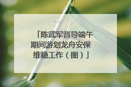 陈武军督导端午期间游划龙舟安保维稳工作(图)